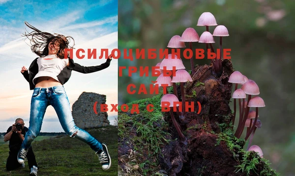 apvp Балабаново