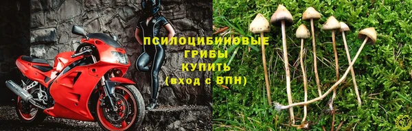ешки Баксан