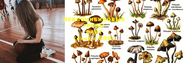 apvp Балабаново